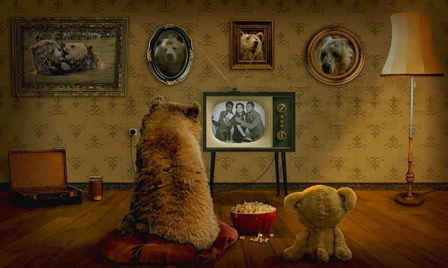 soirée cinéma