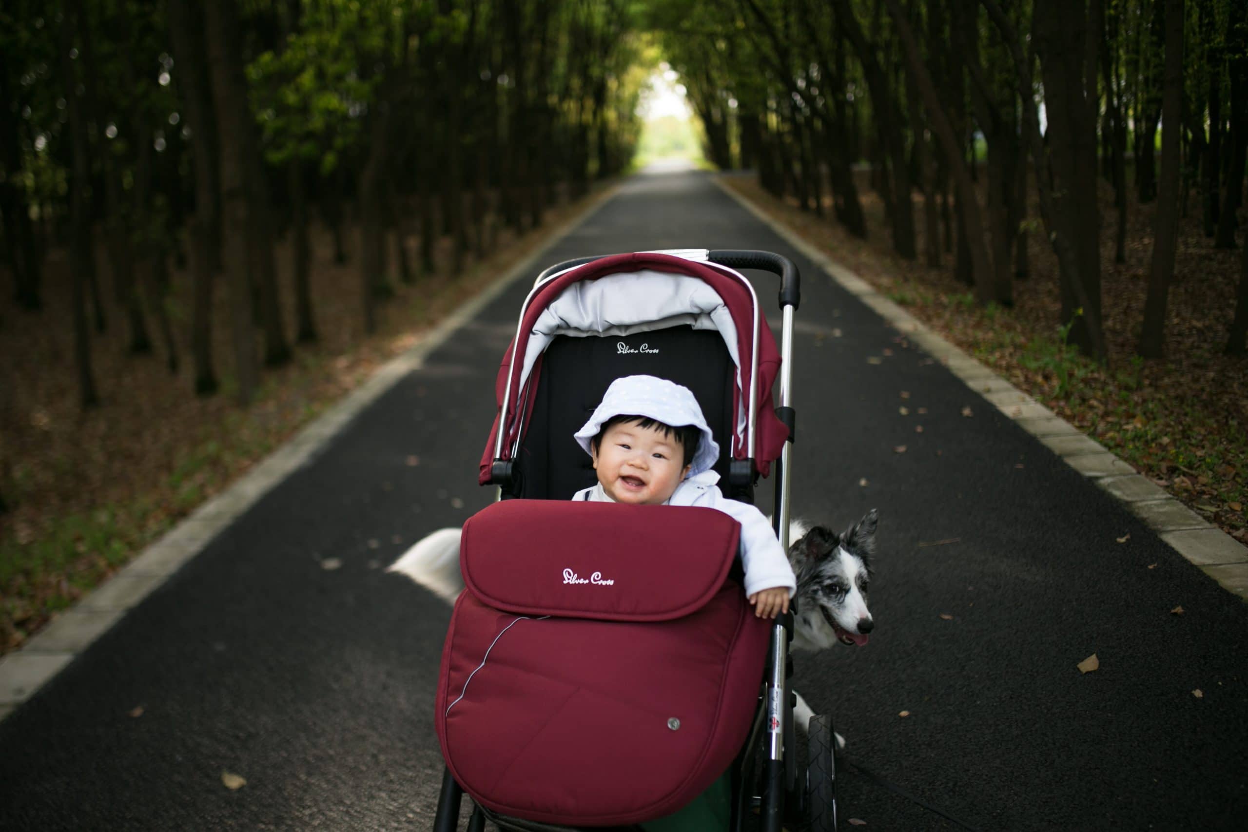 Quel modèle de poussette ajouter à sa liste de naissance ?