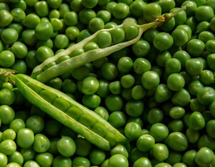 Le petit pois est-il un féculent ou un légume ?