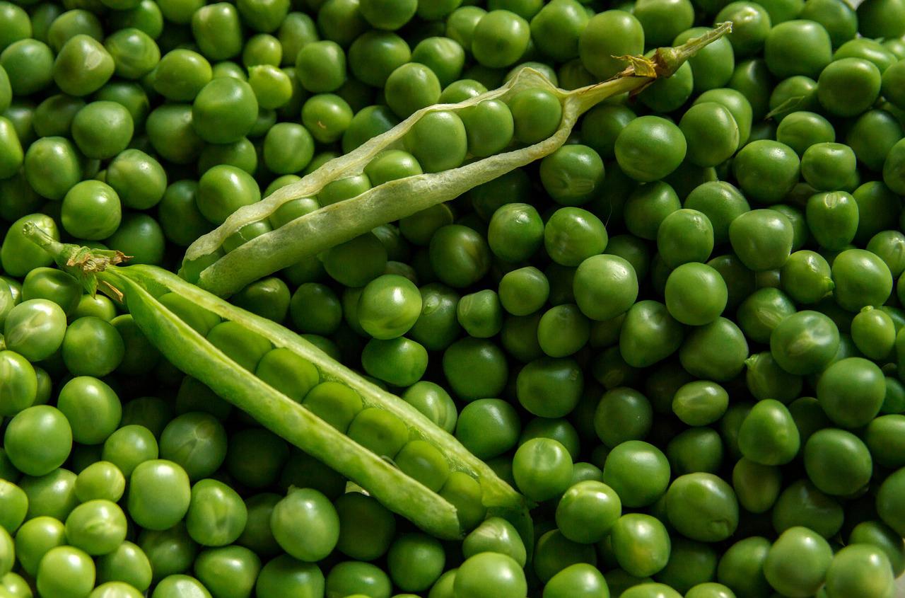 Le petit pois est-il un féculent ou un légume ?