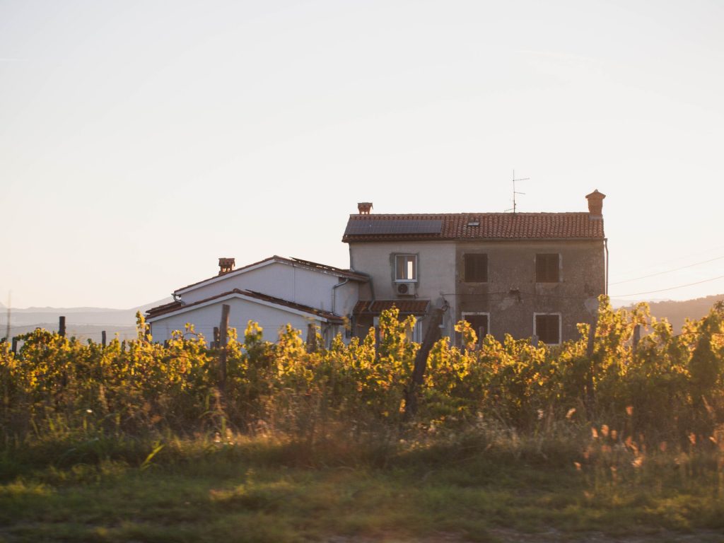 patrimoine viticole