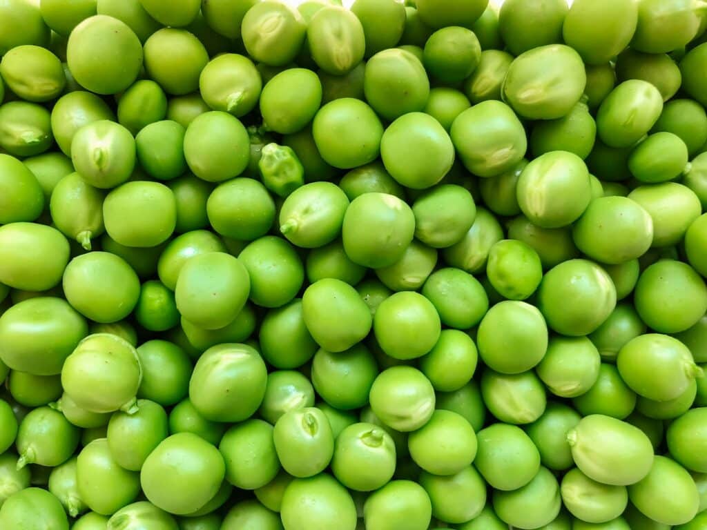 petit pois légume ou féculent
