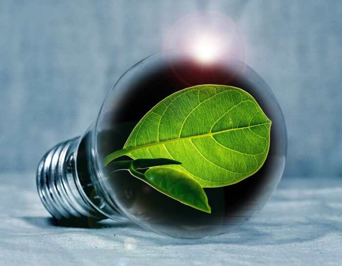 Quel contrat d’électricité choisir ?